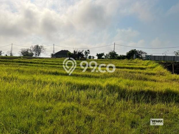 Dijual Tanah Lokasi Nyanyi, Badung Seluas 550m2 Dijual Tanah Lokasi Nyanyi, Badung Seluas 550m2