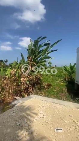 Dijual Tanah Lokasi canggu, Badung Seluas 996m2 Dijual Tanah Lokasi canggu, Badung Seluas 996m2