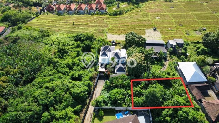 Tanah Dijual Area Strategis di Batuan Kaler Gianyar 600m2 Tanah Dijual Area Strategis di Batuan Kaler Gianyar 600m2