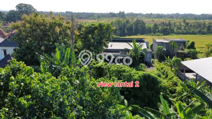 Tanah Dijual Area Strategis di Batuan Kaler Gianyar 600m2 Tanah Dijual Area Strategis di Batuan Kaler Gianyar 600m2