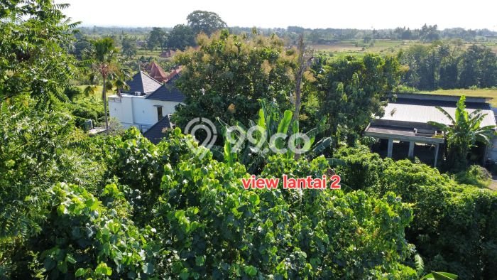 Tanah Dijual Area Strategis di Batuan Kaler Gianyar 600m2 Tanah Dijual Area Strategis di Batuan Kaler Gianyar 600m2