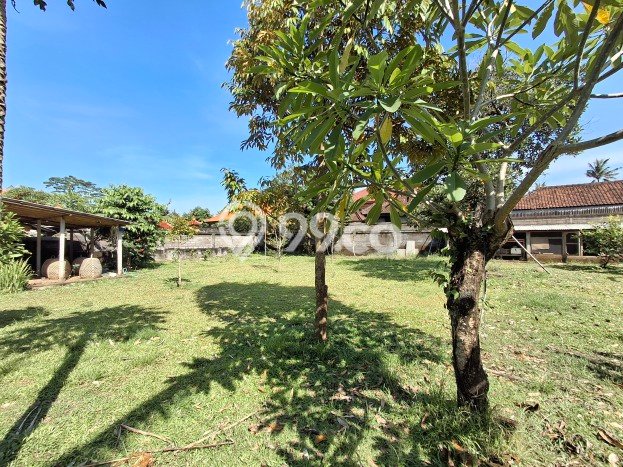 Kavling Tanah untuk Dijual di Singapadu, Gianyar, Luas 928m2 Kavling Tanah untuk Dijual di Singapadu, Gianyar, Luas 928m2