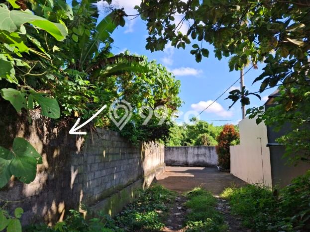 Tanah Dijual Area Strategis di Batuan Kaler Gianyar 600m2 Tanah Dijual Area Strategis di Batuan Kaler Gianyar 600m2