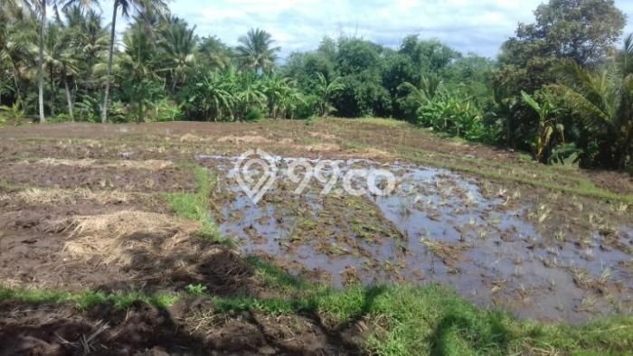 Jarang Ada! Tanah di Soreang Punya Luas 1255m2 SHM Jarang Ada! Tanah di Soreang Punya Luas 1255m2 SHM