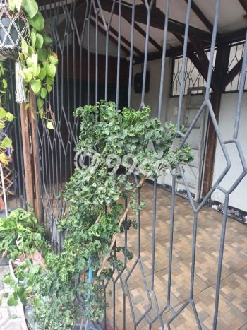Ready to Use! Premium House LT 228m2 Desain Modern di Tanah Sareal Ready to Use! Premium House LT 228m2 Desain Modern di Tanah Sareal