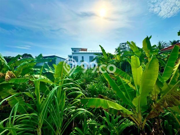 DIJUAL! Vila di Mengwi, Area 280m2m², Lokasi Strategis DIJUAL! Vila di Mengwi, Area 280m2m², Lokasi Strategis