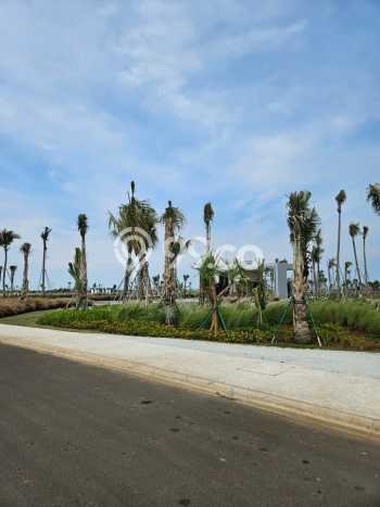 HARGA TERBAIK! Tanah di Pantai Indah Kapuk, Luas 250m², Dekat Jalan Raya, Cocok untuk Hunian HARGA TERBAIK! Tanah di Pantai Indah Kapuk, Luas 250m², Dekat Jalan Raya, Cocok untuk Hunian