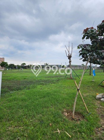 Tanah untuk Dijual Lokasi Pantai Indah Kapuk 2, Jakarta Utara Luas 1000m2 SHM Tanah untuk Dijual Lokasi Pantai Indah Kapuk 2, Jakarta Utara Luas 1000m2 SHM