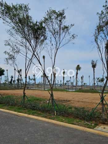Untuk Dijual Tanah 250m2 di Pantai Indah Kapuk 2, Jakarta Utara Untuk Dijual Tanah 250m2 di Pantai Indah Kapuk 2, Jakarta Utara