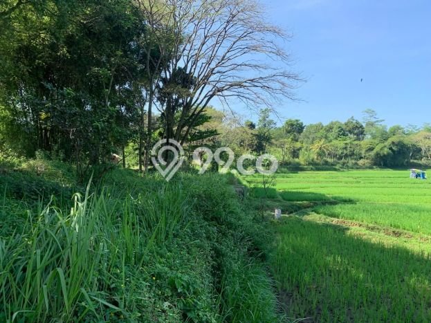 Lahan Kosong Dijual di Cilaku, Cianjur, Luas 270000m2 Area Strategis Lahan Kosong Dijual di Cilaku, Cianjur, Luas 270000m2 Area Strategis
