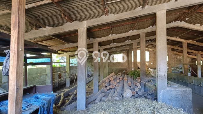 Unit Komersial Strategis di Selogiri, Wonogiri Potensi Cuan Besar Unit Komersial Strategis di Selogiri, Wonogiri Potensi Cuan Besar