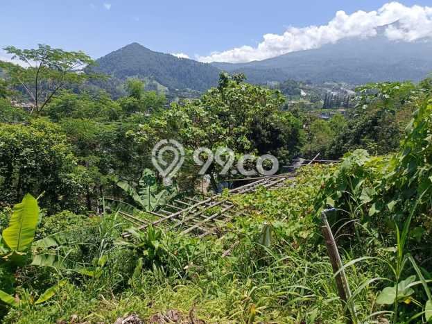 Tanah untuk Dijual di Tawangmangu Karanganyar Luas 237m2 Tanah untuk Dijual di Tawangmangu Karanganyar Luas 237m2
