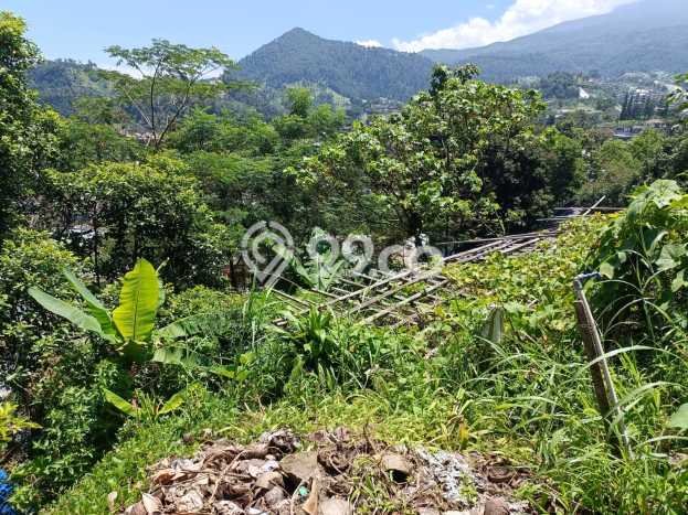 Tanah untuk Dijual di Tawangmangu Karanganyar Luas 237m2 Tanah untuk Dijual di Tawangmangu Karanganyar Luas 237m2