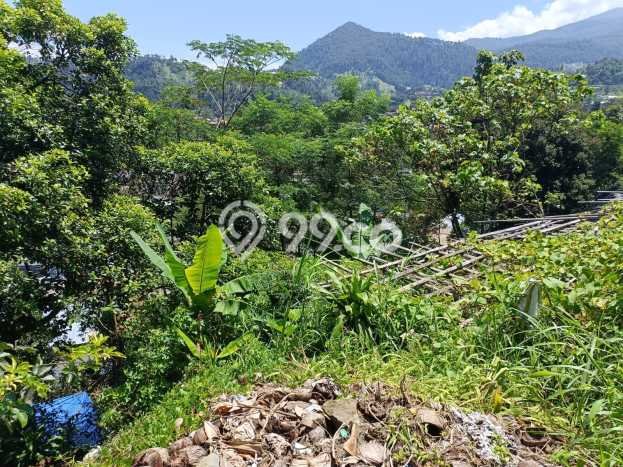 Tanah untuk Dijual di Tawangmangu Karanganyar Luas 237m2 Tanah untuk Dijual di Tawangmangu Karanganyar Luas 237m2