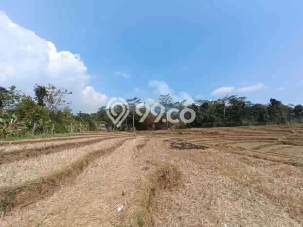 Untuk Dijual Tanah di Mojogedang Karanganyar Luas 6000m2 SHM Untuk Dijual Tanah di Mojogedang Karanganyar Luas 6000m2 SHM