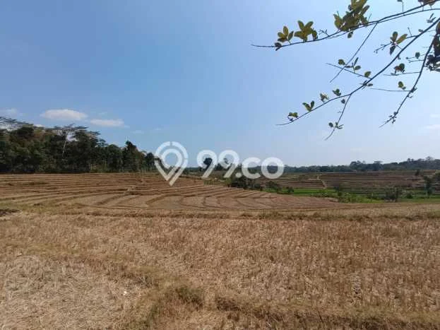 Untuk Dijual Tanah di Mojogedang Karanganyar Luas 6000m2 SHM Untuk Dijual Tanah di Mojogedang Karanganyar Luas 6000m2 SHM