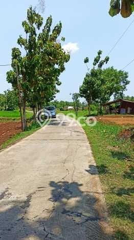 Lahan untuk Dijual di Gondangrejo Karanganyar Luas 4600m2 Lahan untuk Dijual di Gondangrejo Karanganyar Luas 4600m2