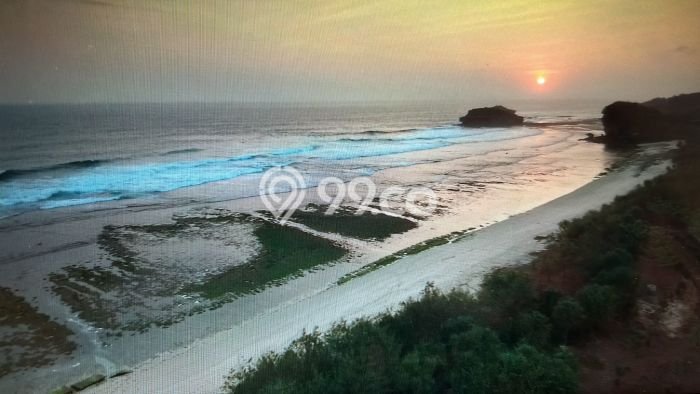 Vila Kawasan Pacitan, Dimensi 4568m2m², Dekat dengan fasilitas umum Vila Kawasan Pacitan, Dimensi 4568m2m², Dekat dengan fasilitas umum