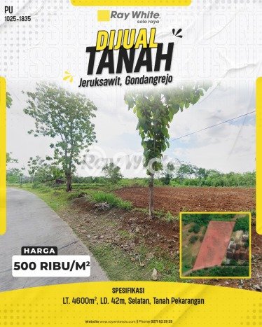 Lahan untuk Dijual di Gondangrejo Karanganyar Luas 4600m2 Lahan untuk Dijual di Gondangrejo Karanganyar Luas 4600m2