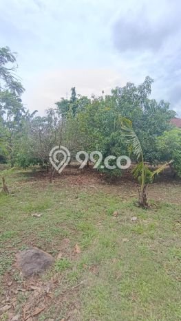 Tanah Komersial Dijual di Selogiri Wonogiri 548m2 Tanah Komersial Dijual di Selogiri Wonogiri 548m2