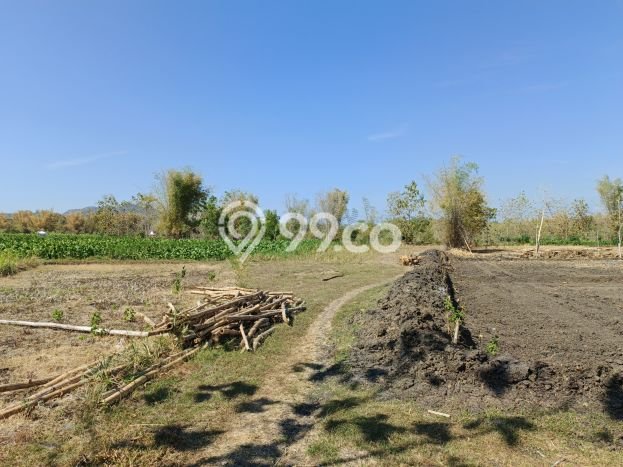 Tanah Dijual Lokasi Giriwoyo, Wonogiri Luas 10517m2 Legalitas Aman Tanah Dijual Lokasi Giriwoyo, Wonogiri Luas 10517m2 Legalitas Aman