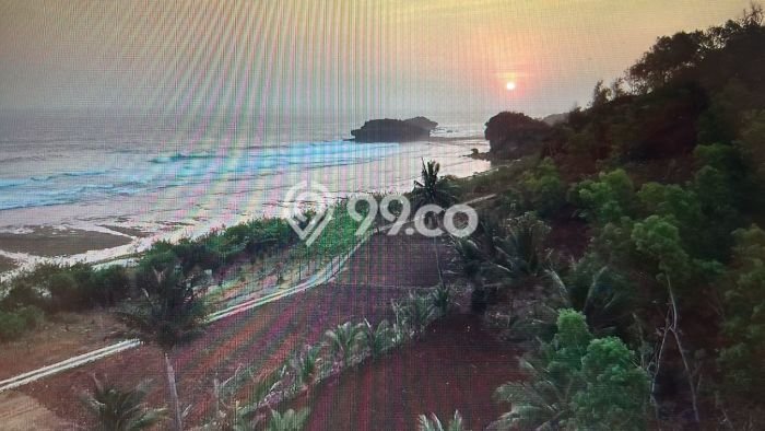 Vila Kawasan Pacitan, Dimensi 4568m2m², Dekat dengan fasilitas umum Vila Kawasan Pacitan, Dimensi 4568m2m², Dekat dengan fasilitas umum