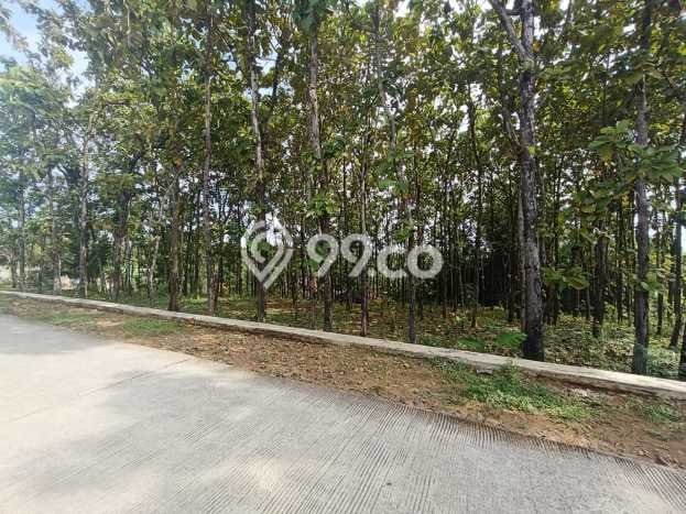 Kavling Tanah di Sambirejo Dijual Luas 1820m2 Legalitas SHM Kavling Tanah di Sambirejo Dijual Luas 1820m2 Legalitas SHM