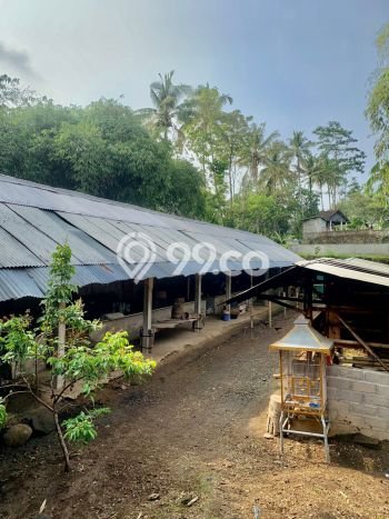 Dijual Komersial di Ampel, Boyolali Harga Penawaran Spesial Dijual Komersial di Ampel, Boyolali Harga Penawaran Spesial