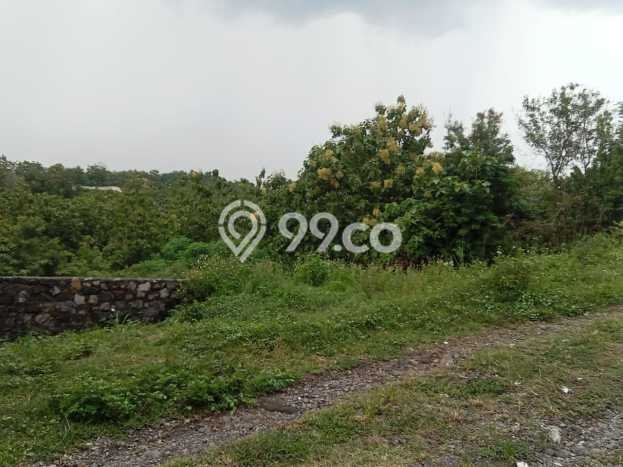 Lahan Strategis di Gondangrejo Dijual dengan Luas 2500m2 Lahan Strategis di Gondangrejo Dijual dengan Luas 2500m2
