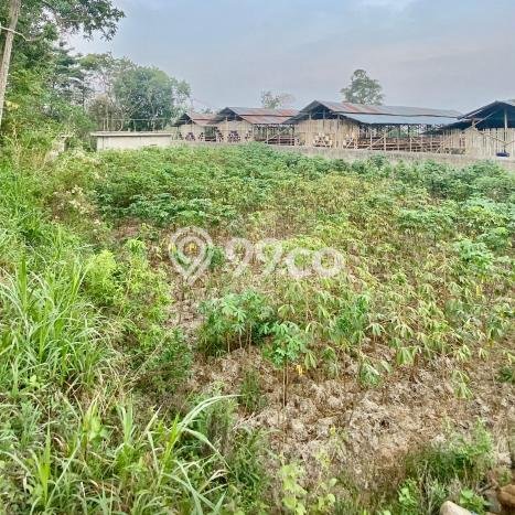 Tanah Investasi Dijual di Boyolali Punya Luas 1504m2 Tanah Investasi Dijual di Boyolali Punya Luas 1504m2