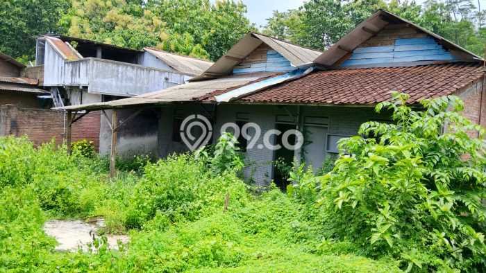Gudang For Sale di Kawasan Selogiri, Wonogiri Harga Kompetitif Gudang For Sale di Kawasan Selogiri, Wonogiri Harga Kompetitif