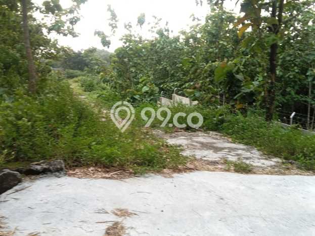 Lahan Strategis di Gondangrejo Dijual dengan Luas 2500m2 Lahan Strategis di Gondangrejo Dijual dengan Luas 2500m2