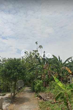 Tanah Dijual Lokasi Grogol, Sukoharjo dengan Luas Tanah 100m2 dan Status SHM Tanah Dijual Lokasi Grogol, Sukoharjo dengan Luas Tanah 100m2 dan Status SHM