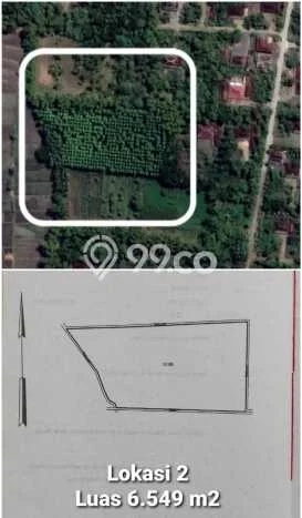 Tanah untuk Dijual di Giriwoyo Wonogiri Luas 6549m2 Tanah untuk Dijual di Giriwoyo Wonogiri Luas 6549m2