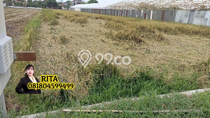 Lahan Dijual Lokasi Colomadu, Karanganyar dengan Luas Tanah 2423m2 dan Status SHM Lahan Dijual Lokasi Colomadu, Karanganyar dengan Luas Tanah 2423m2 dan Status SHM
