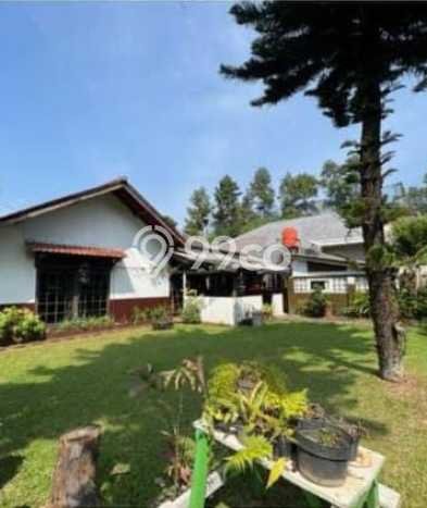 Rumah Elit Modern Tanpa Renovasi di Cigadung Bandung Rumah Elit Modern Tanpa Renovasi di Cigadung Bandung