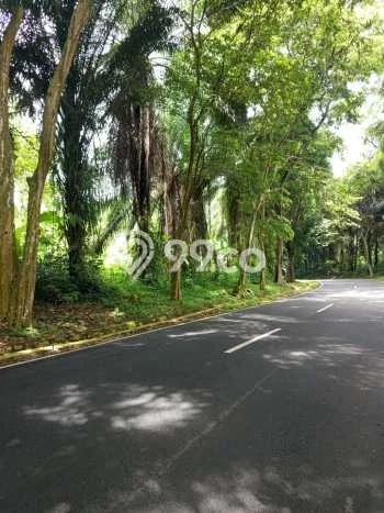 Tanah di Plered, Purwakarta Luas 4800m2 Dijual Segera Tanah di Plered, Purwakarta Luas 4800m2 Dijual Segera