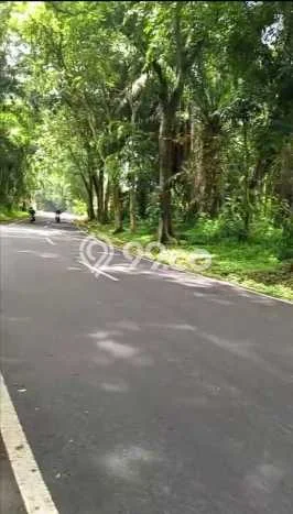 Tanah di Plered, Purwakarta Luas 4800m2 Dijual Segera Tanah di Plered, Purwakarta Luas 4800m2 Dijual Segera