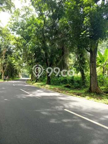 Tanah di Plered, Purwakarta Luas 4800m2 Dijual Segera Tanah di Plered, Purwakarta Luas 4800m2 Dijual Segera