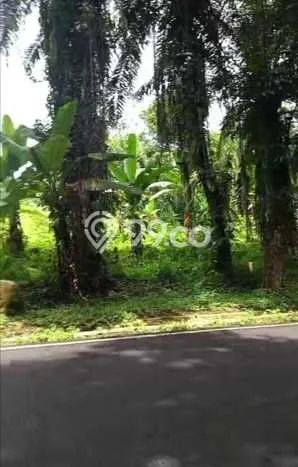 Tanah di Plered, Purwakarta Luas 4800m2 Dijual Segera Tanah di Plered, Purwakarta Luas 4800m2 Dijual Segera