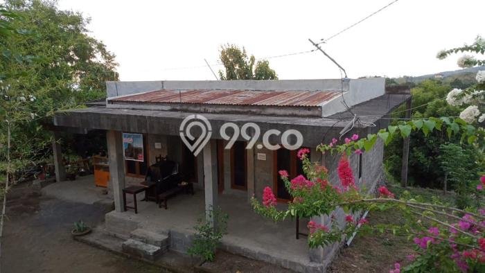 Rumah Modern Cantik 3 Kamar Bisa Langsung Pindah di Buleleng Rumah Modern Cantik 3 Kamar Bisa Langsung Pindah di Buleleng