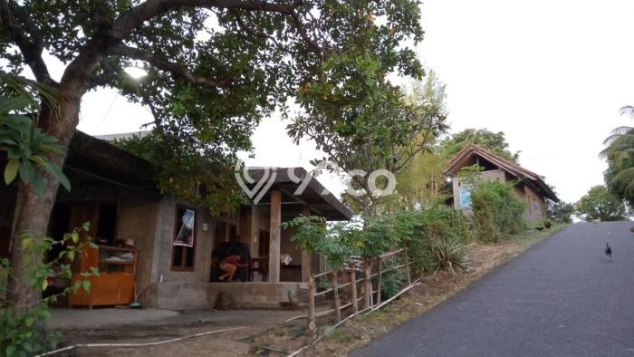 Rumah Modern Cantik 3 Kamar Bisa Langsung Pindah di Buleleng Rumah Modern Cantik 3 Kamar Bisa Langsung Pindah di Buleleng