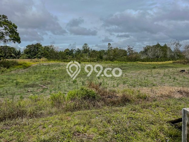 Lahan Investasi Lokasi Lintong Nihuta Hambang Hasundutan SHM Lahan Investasi Lokasi Lintong Nihuta Hambang Hasundutan SHM