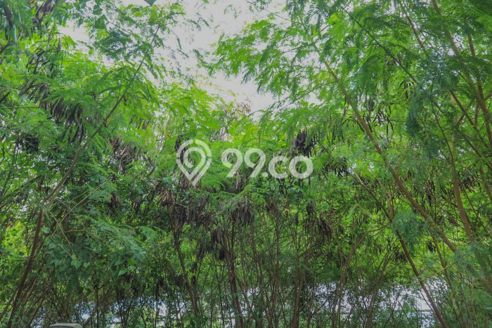 Lahan untuk Dijual Lokasi Cakung, Jakarta Timur Luas 2490m2 - Lahan untuk Dijual Lokasi Cakung, Jakarta Timur Luas 2490m2 -
