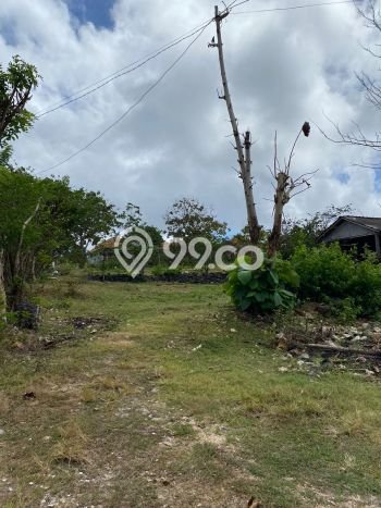 SEWA LAHAN! Tanah di Kutuh, Luas 5000m², Area Komersial SEWA LAHAN! Tanah di Kutuh, Luas 5000m², Area Komersial
