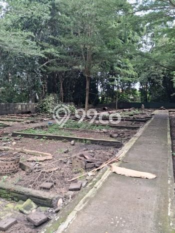 Disewakan Segera Tanah di Ubud Luas 2700m2 Area Potensial Disewakan Segera Tanah di Ubud Luas 2700m2 Area Potensial