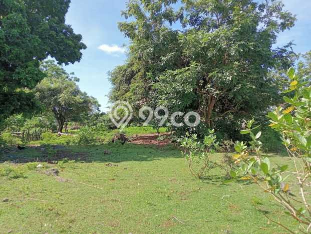 Tanah Kavling Dijual di Badung dengan Spesifikasi 3550m2 Tanah Kavling Dijual di Badung dengan Spesifikasi 3550m2
