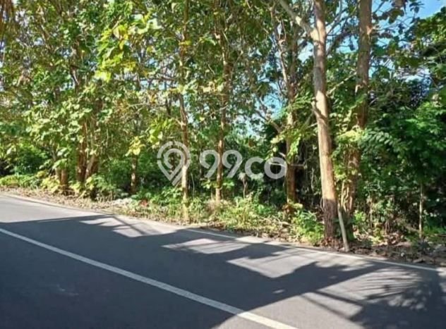 Tanah Kavling Dijual di Kutuh, Badung dengan Luas Tanah 1500m2 Tanah Kavling Dijual di Kutuh, Badung dengan Luas Tanah 1500m2