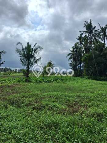 Tanah Siap Pakai Disewakan di Ubud, Gianyar, Luas 3000m2 Tanah Siap Pakai Disewakan di Ubud, Gianyar, Luas 3000m2