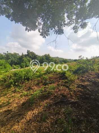 Tanah Dijual di Badung Seluas 2500m2 Strategis Tanah Dijual di Badung Seluas 2500m2 Strategis